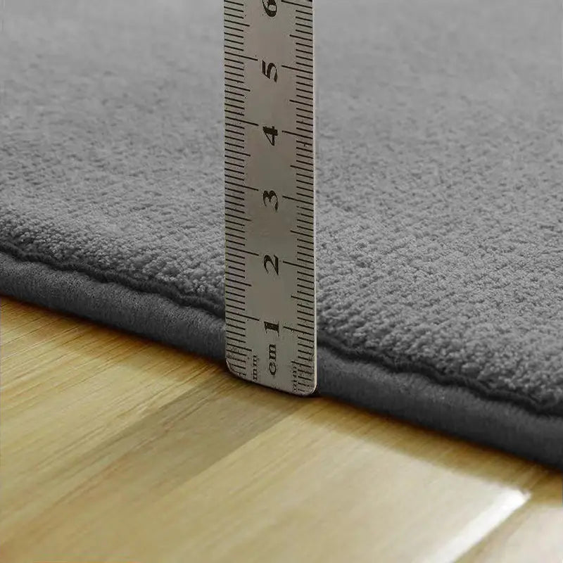 Beige Soft Plush Area Rug (31.5" X 62.9") for Home Decor