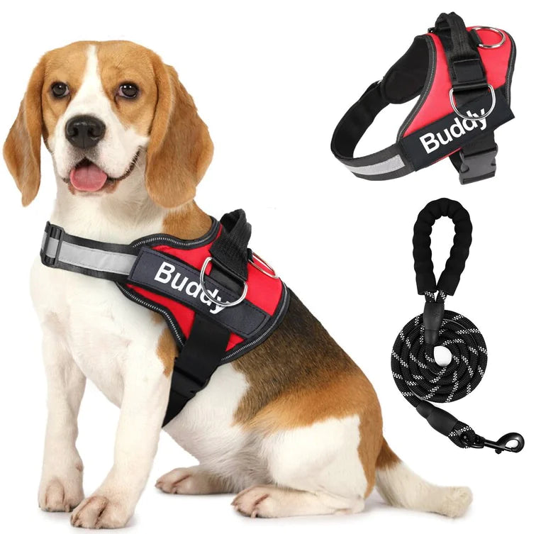 Couple Pet Dog Harness with Leash