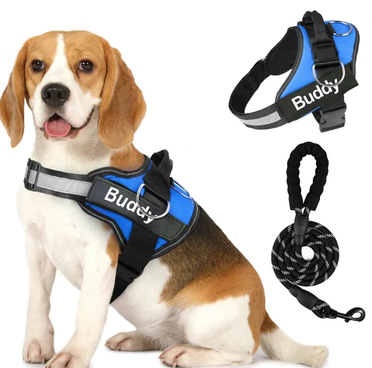 Couple Pet Dog Harness with Leash