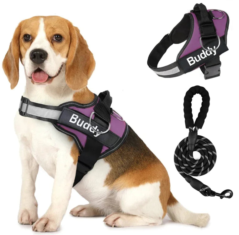 Couple Pet Dog Harness with Leash