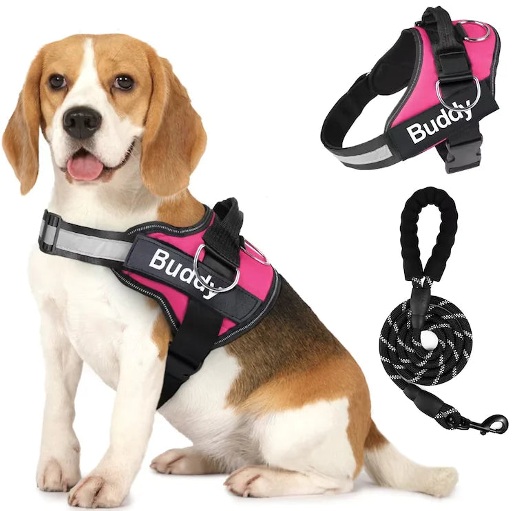Couple Pet Dog Harness with Leash