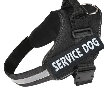 Couple Pet Dog Harness with Leash