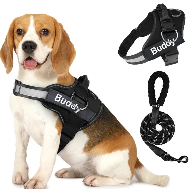 Couple Pet Dog Harness with Leash